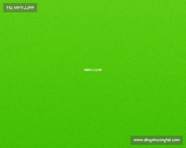 电子竞技lolppt模板